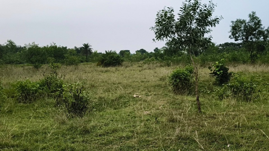 propertyImage