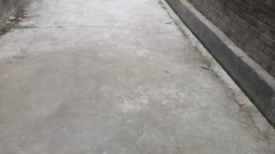 blog