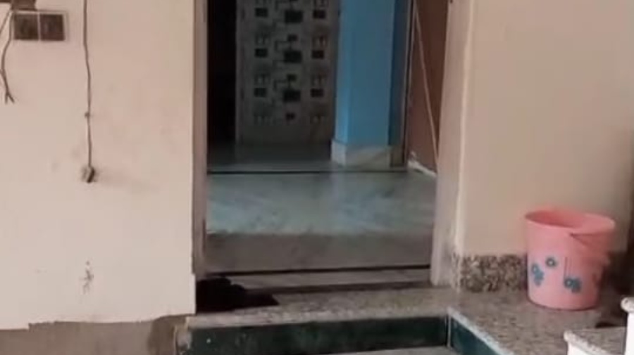 similarProperty
