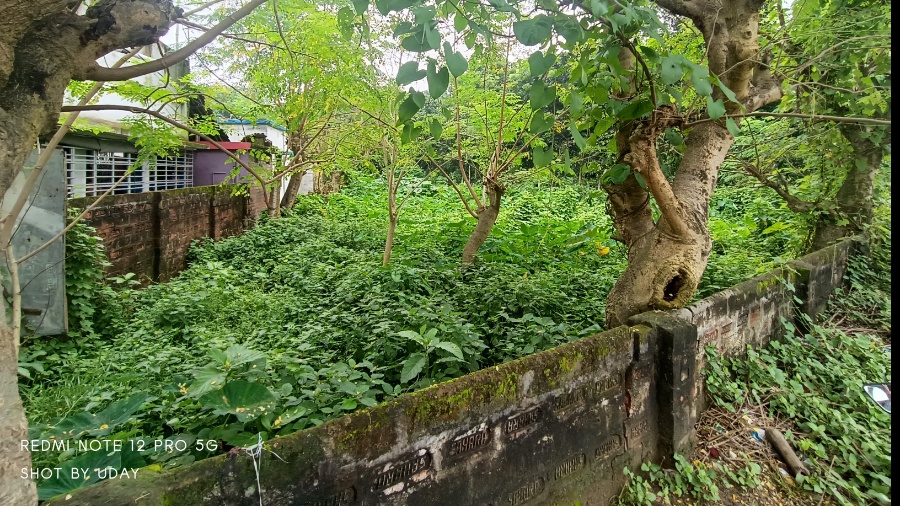propertyImage