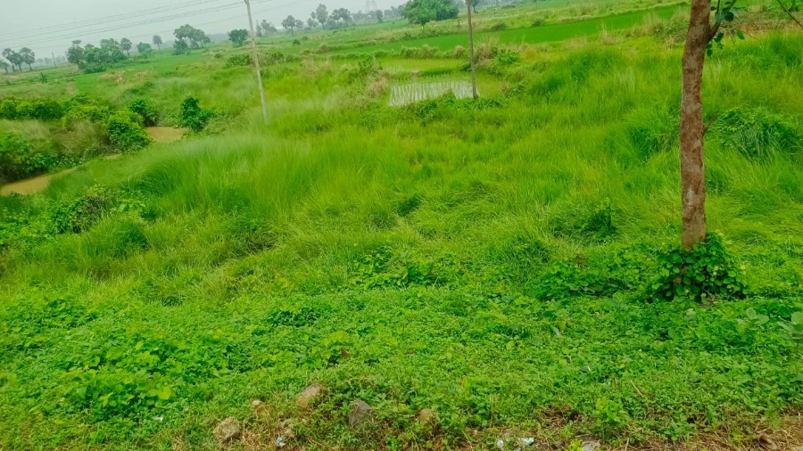 propertyImage
