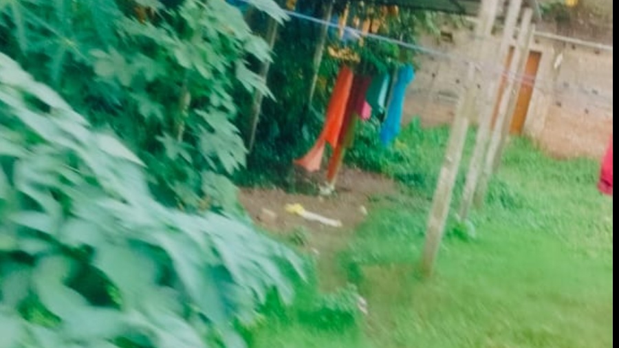 propertyImage
