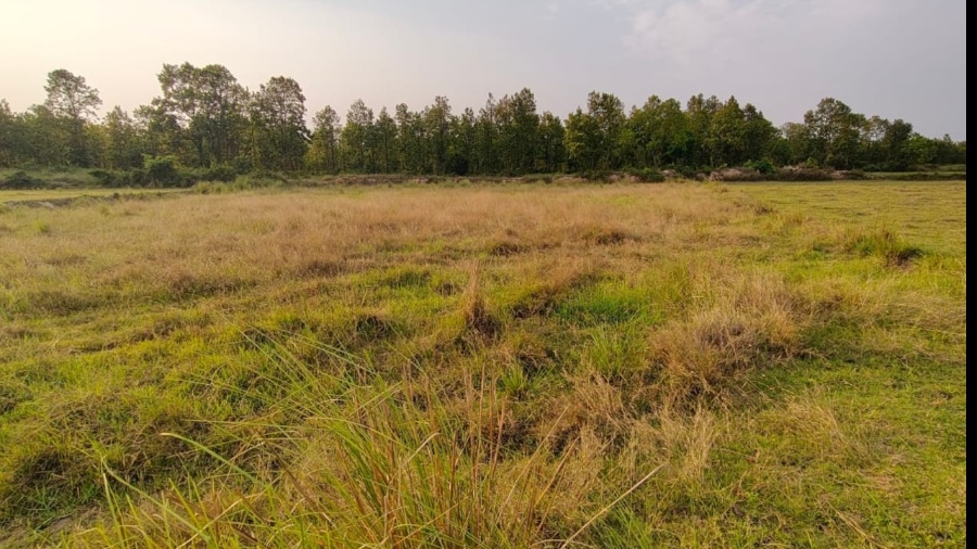 propertyImage